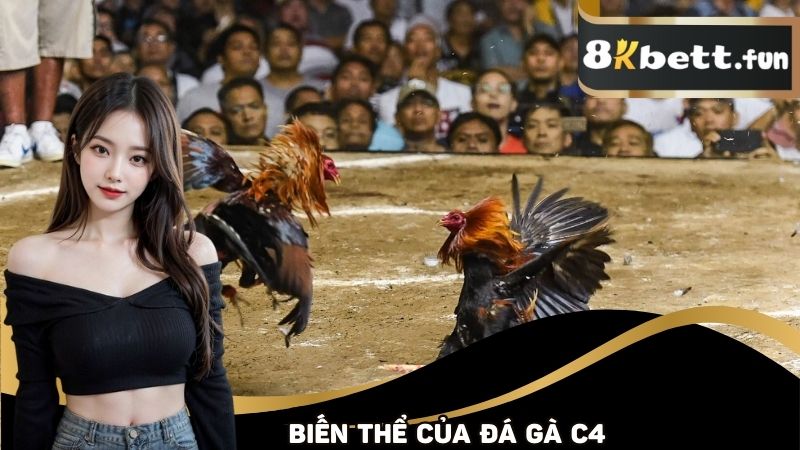 Một số biến thể của đá gà C4