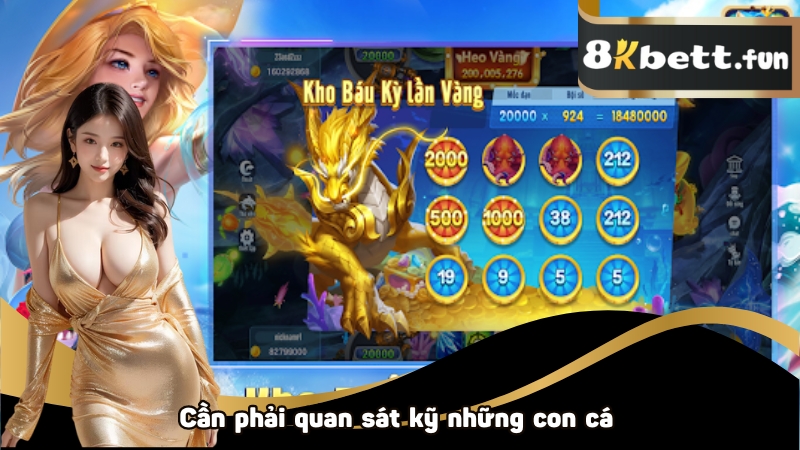 Cần phải quan sát kỹ những con cá lớn khi bắn