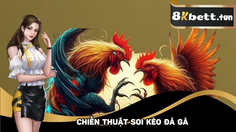 Top 4 chiến thuật soi kèo dễ thắng trong đá gà