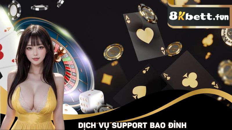 Dịch vụ support bao đỉnh