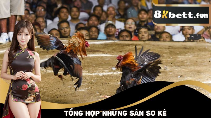 Tổng hợp những sân so kê phổ biến