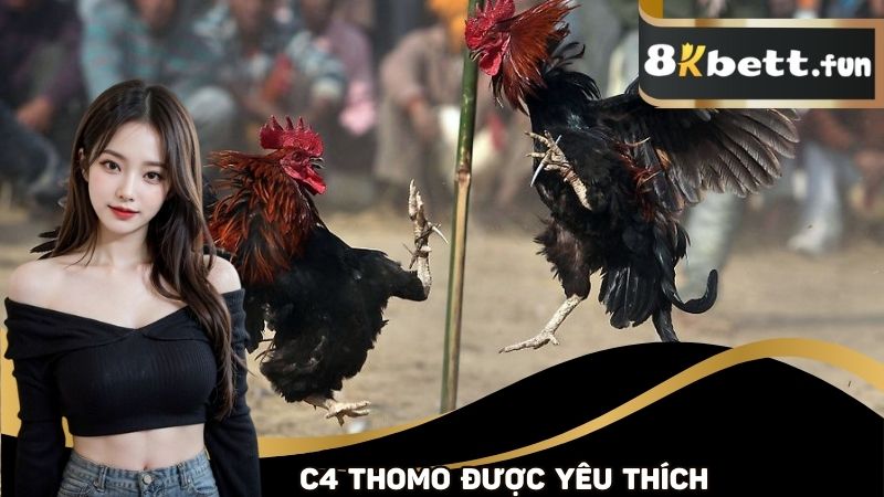 C4 Thomo được đông đảo người yêu thích