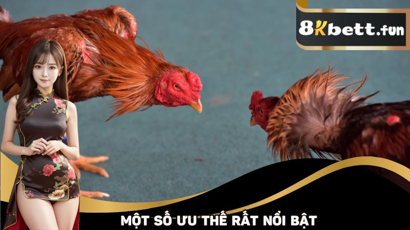 Một số ưu thế rất nổi bật ở sảnh 